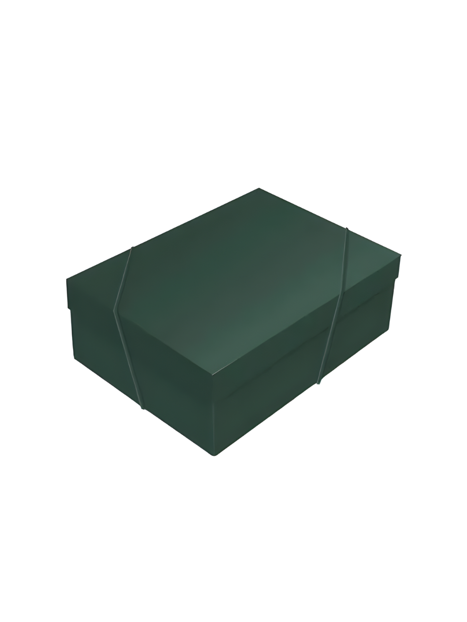 EMBALAGEM C/TAMPA VERDE PINHEIRO M 35CM X 25CM X 11CM 7909107247093