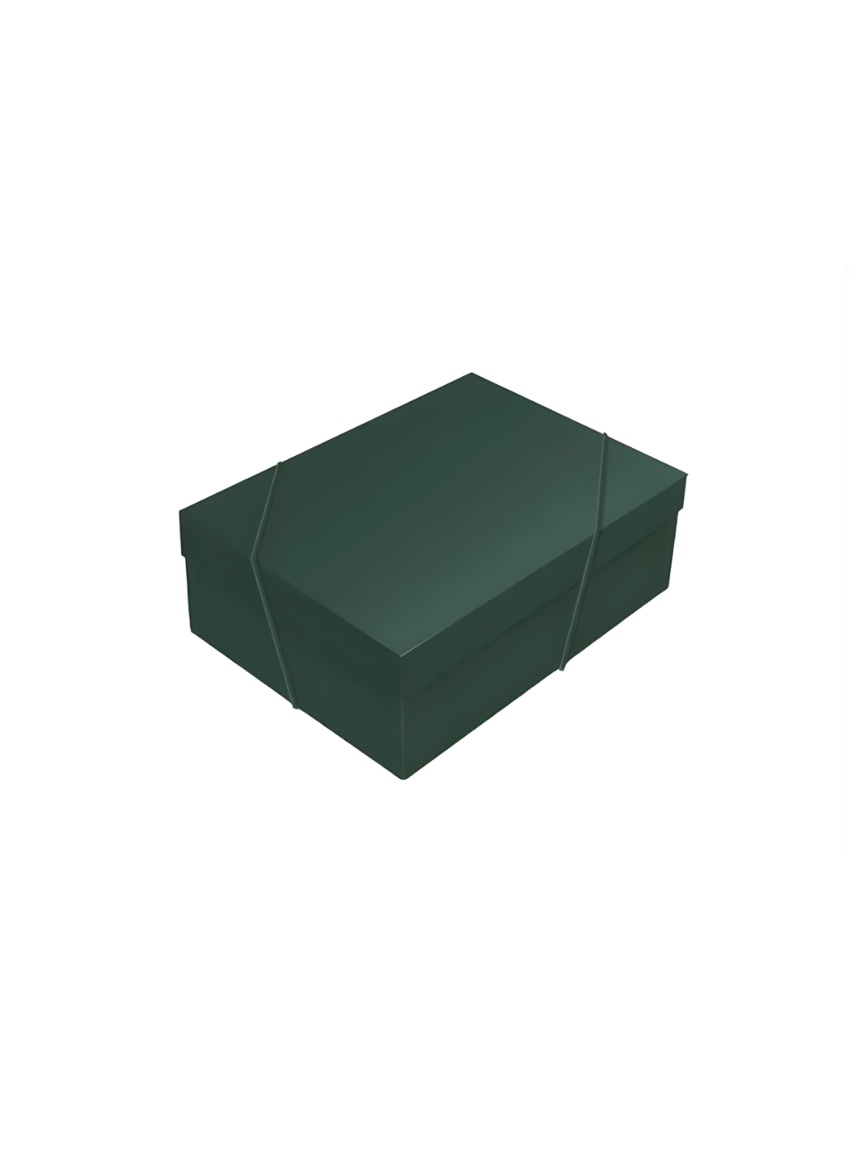 EMBALAGEM C/TAMPA VERDE PINHEIRO P 24CM X 18CM X 8CM 7909107247086