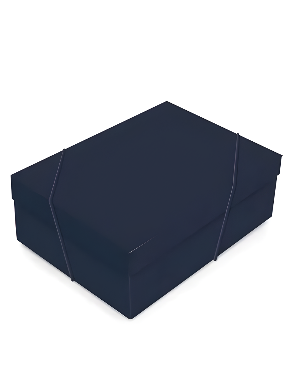 EMBALAGEM C/TAMPA TWILIGHT BLUE G 46CM X 33CM X 14CM 7899023426217