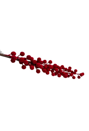 HASTE BERRY DE VELUDO - 7891146128580 REF 12858 