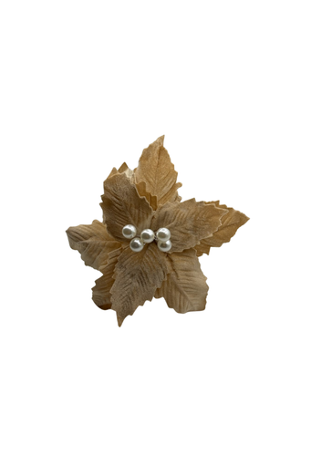 H.BICO DE PAPAGAIO NATAL AVELUDADO (CHAMPANHE) 25cm 30d (FLORARTE) - 7890880800325 REF 89627-005
