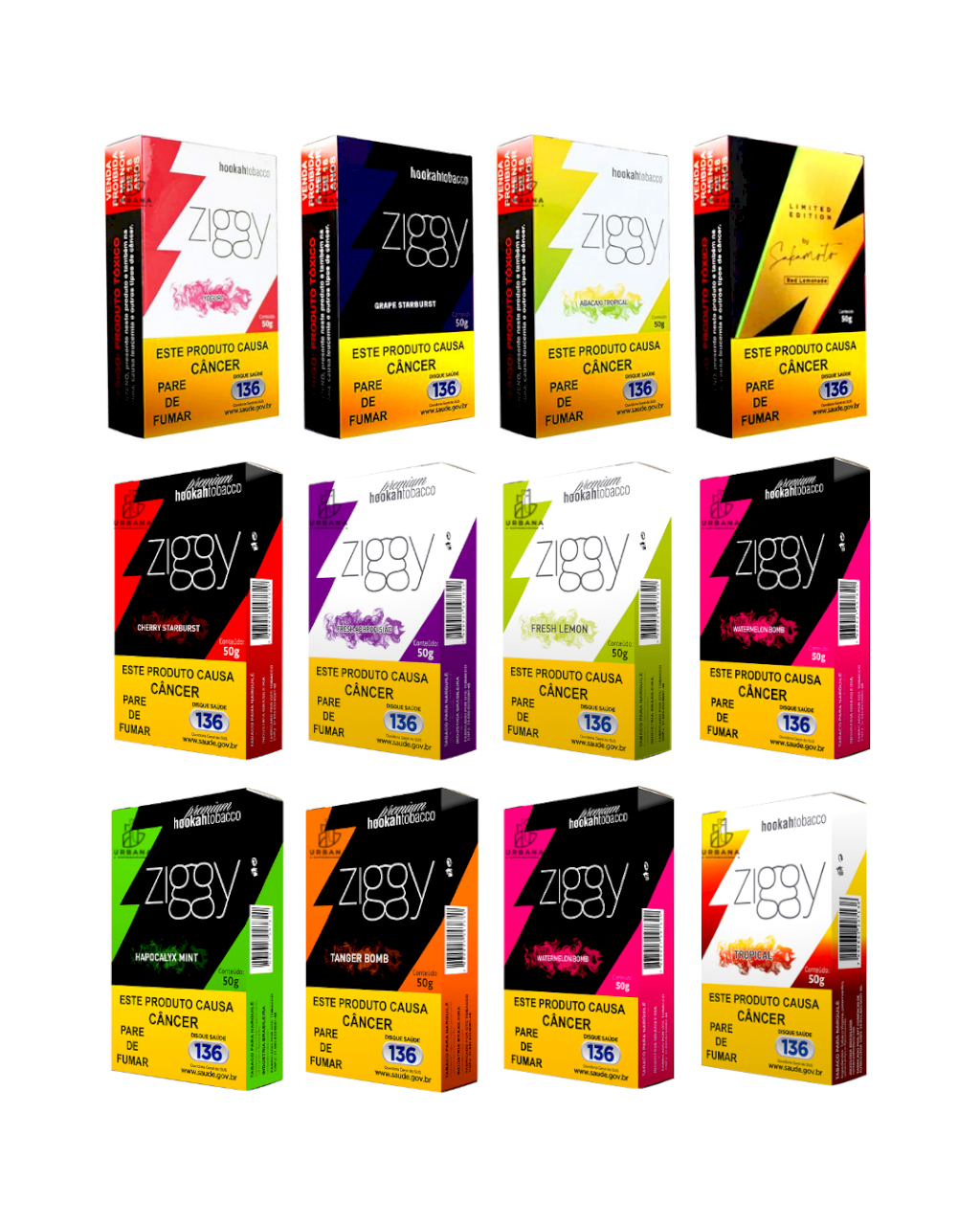 ZIGGY CAIXA MASTER - 12 PACKS