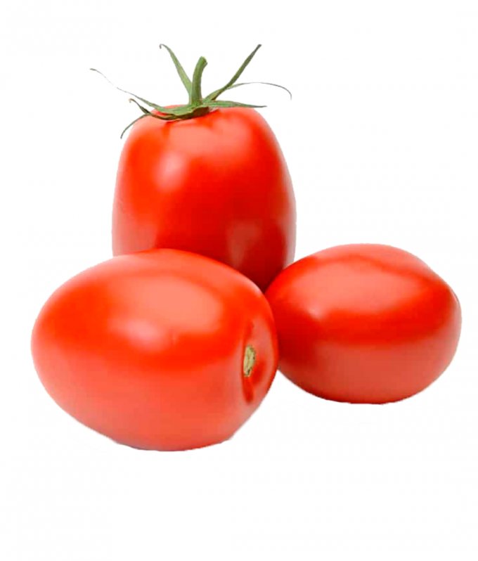 Tomate kg