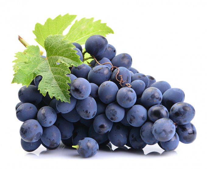 Uva vitória s/ semente 