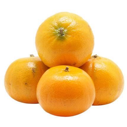 Tangerina morgote