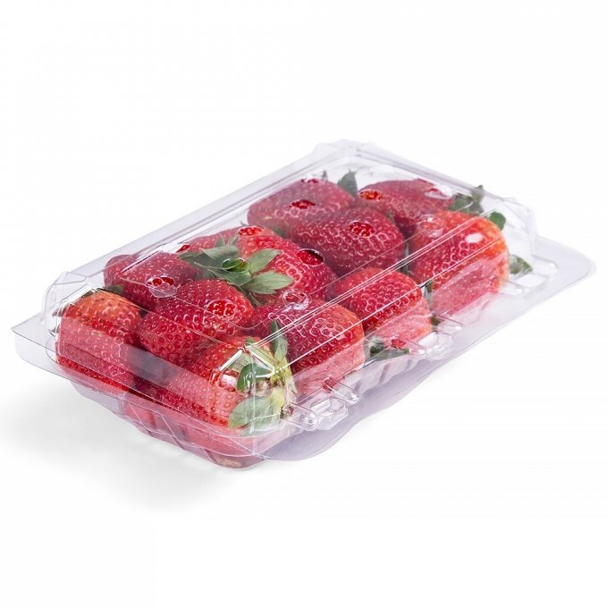Morango 