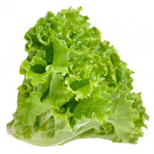 Alface Crespa Pé