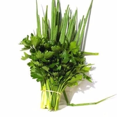 Coentro com Cebolinha