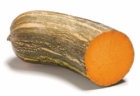 Abobora de Pescoço