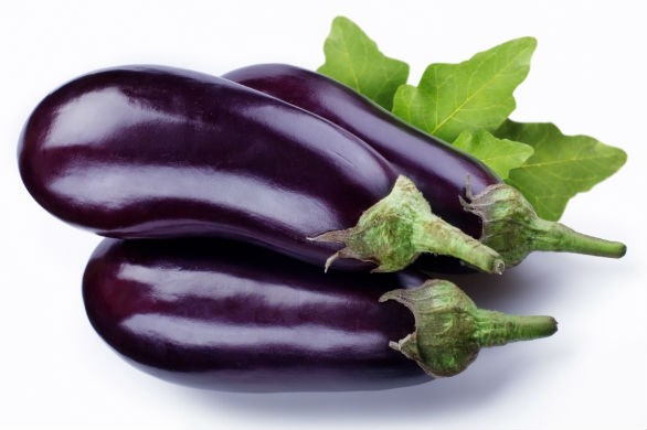 Berinjela