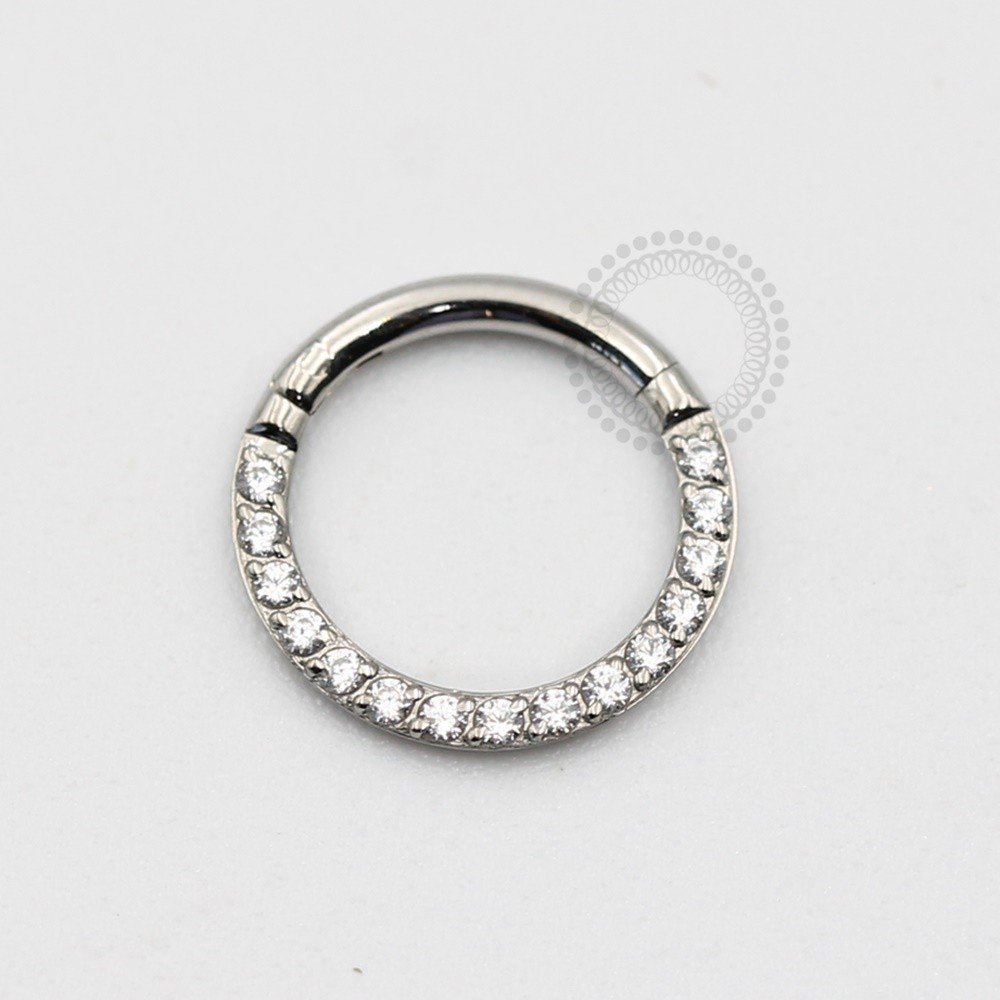 Argola segmentada Aço 316 L - PB87