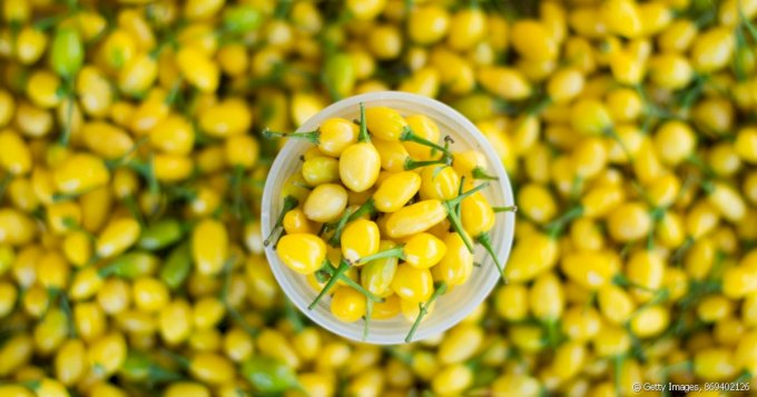 Pimienta Cumari do Para