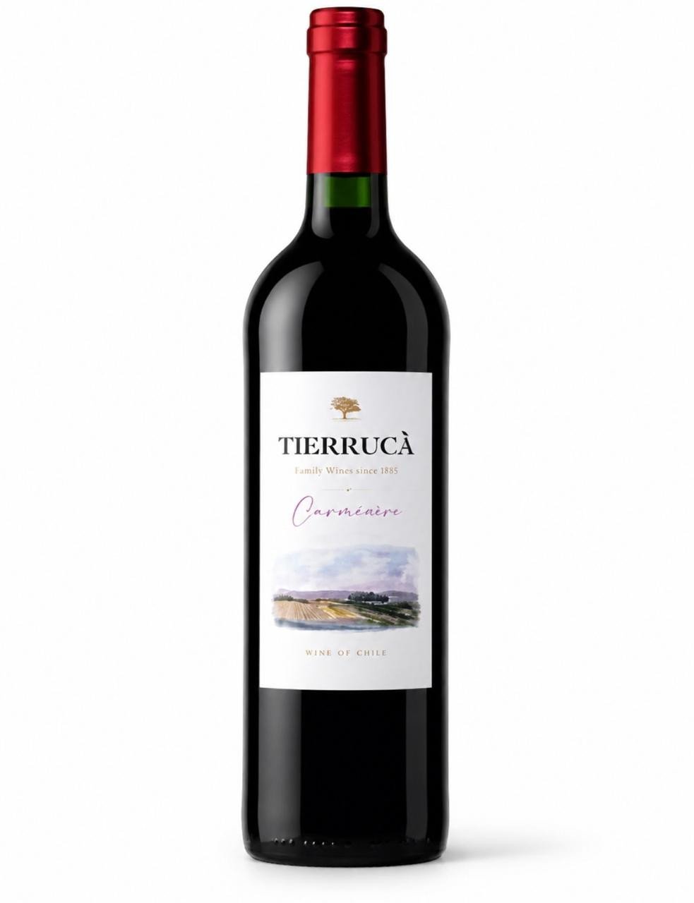 VINHO TIERRUCA CARMENERE TINTO 750ML - CHILENO